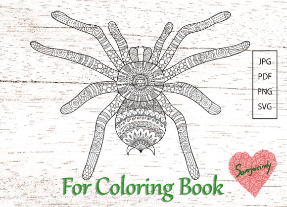 Abstract Spider: A Bold Design for Adult Coloring
